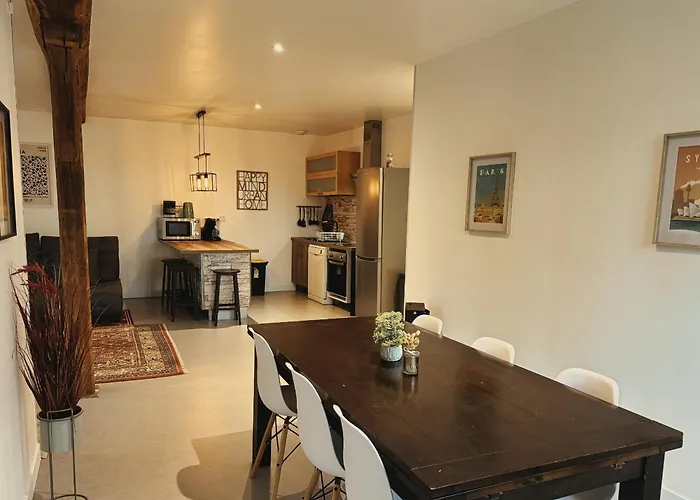 Daire Aux Canards Cozy La Saulsotte